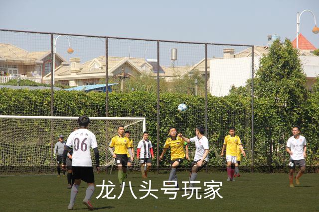 关于龙八头号玩家